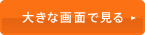 大きな画面で見る