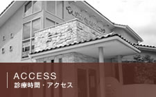 診療時間・アクセス