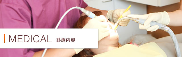 診療内容