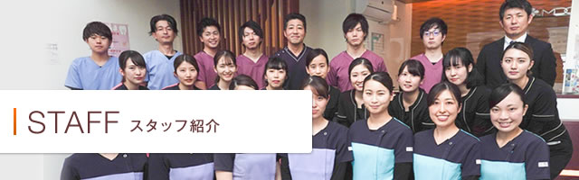 スタッフ紹介