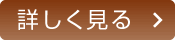 詳しく見る